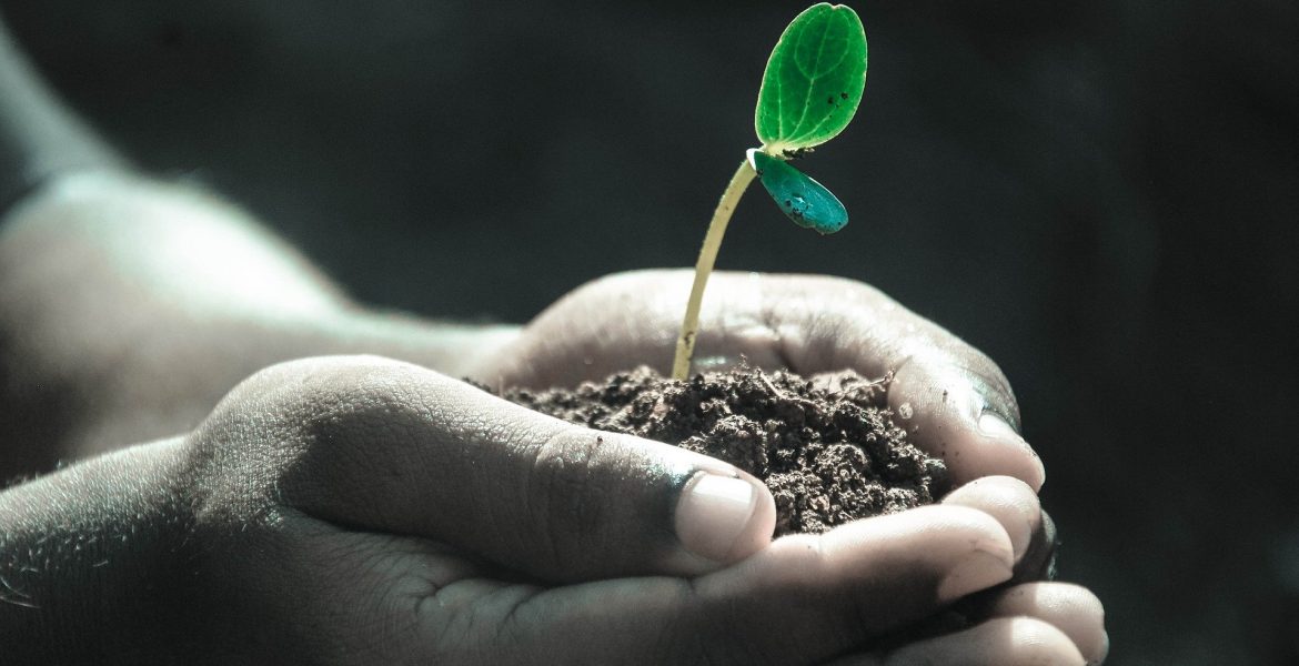 Hands Macro Plant Soil Grow Life Gray Life